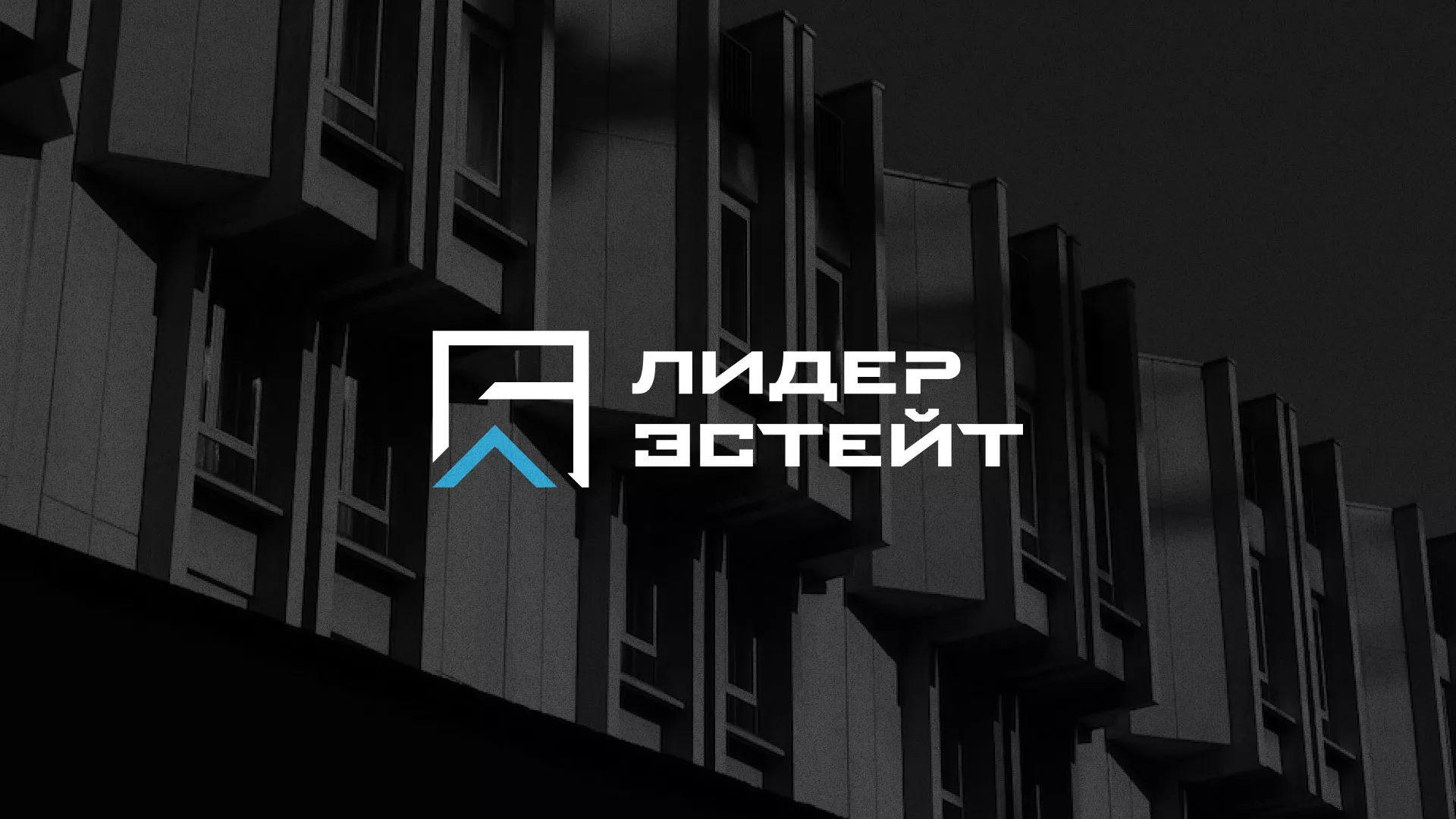 Разработка логотипа агентства недвижимости «Лидер Эстейт» в Кстово